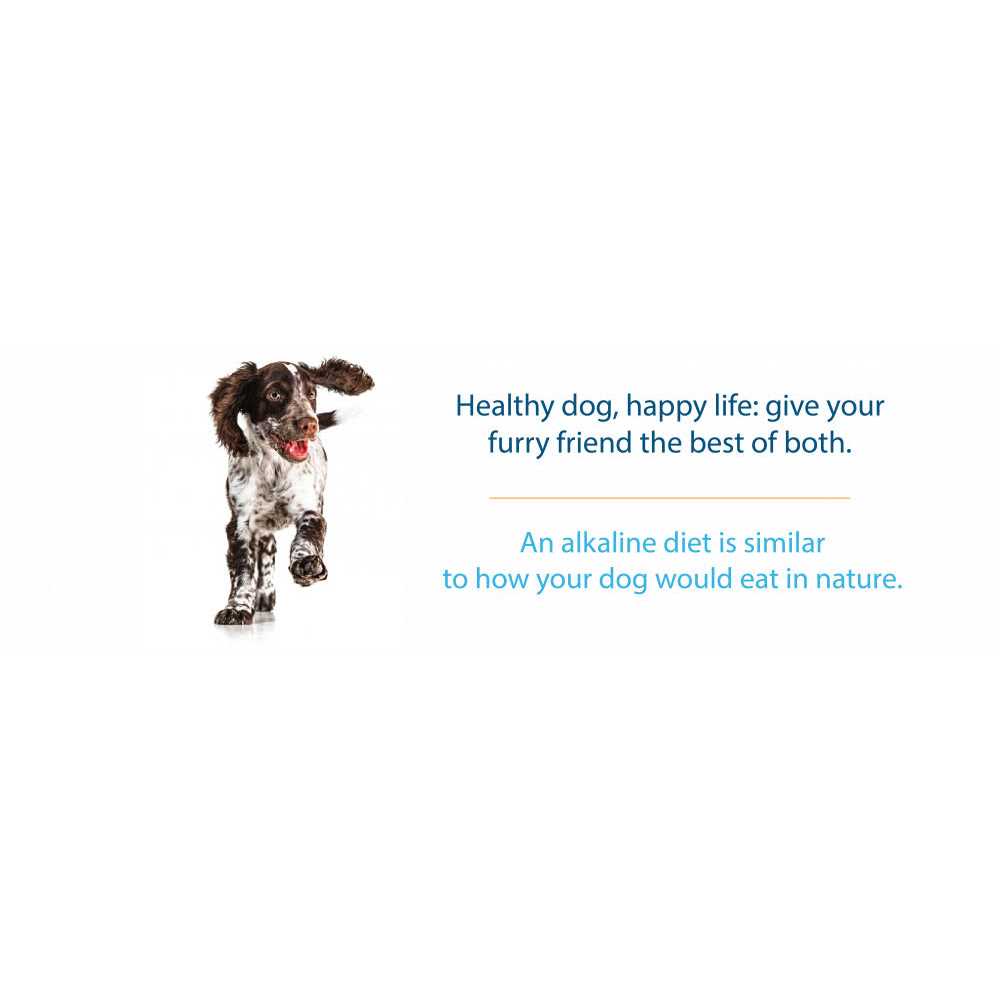 Grain-Free Dry Dog Food F15240
