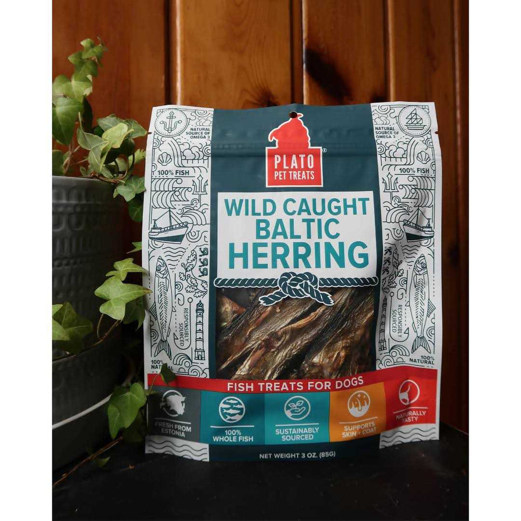 Baltic Herring Dog P522564