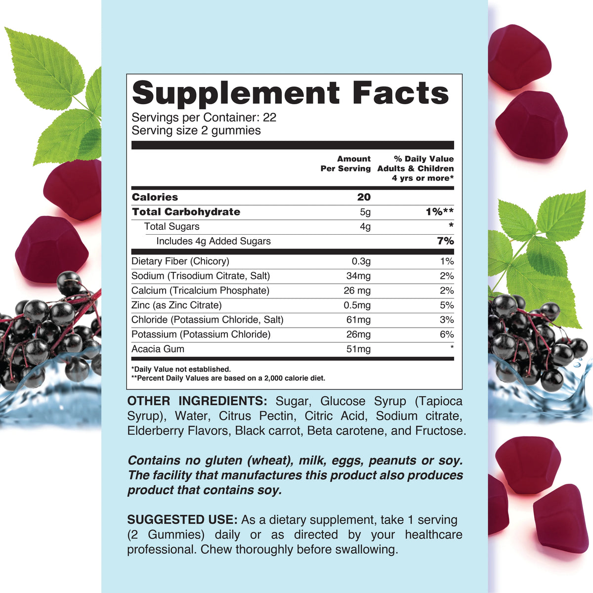 Elderberry Electrolyte Gummies 2 Pack 44 Count X215