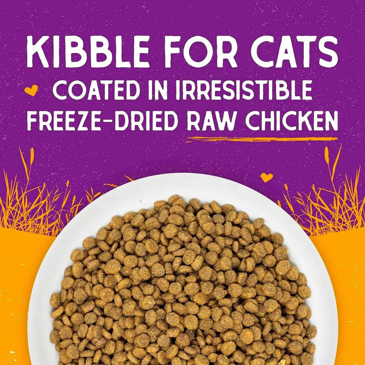 Dry Cat Food W10155