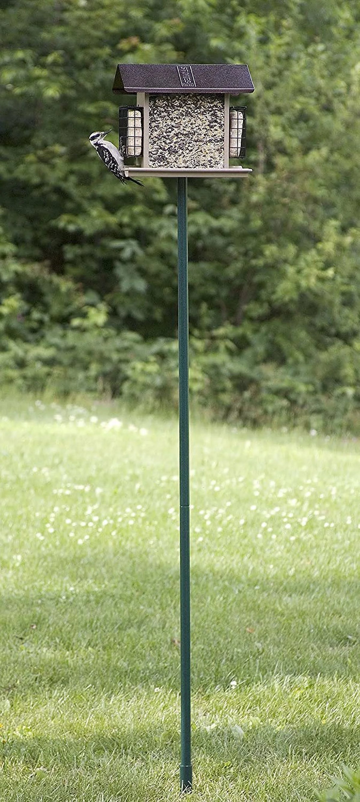 1-Inch Diameter 60-Inch Bird Feeder Pole O81956