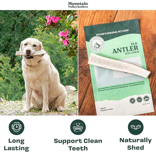 100% Natural Elk Antlers for Dogs - Whole Small (3 Pack) F275499