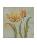 Canvas P66397