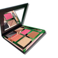 4-in-1 Eyeshadow Blush Contour Highlight Palette with Mirror and Dual Brush X312