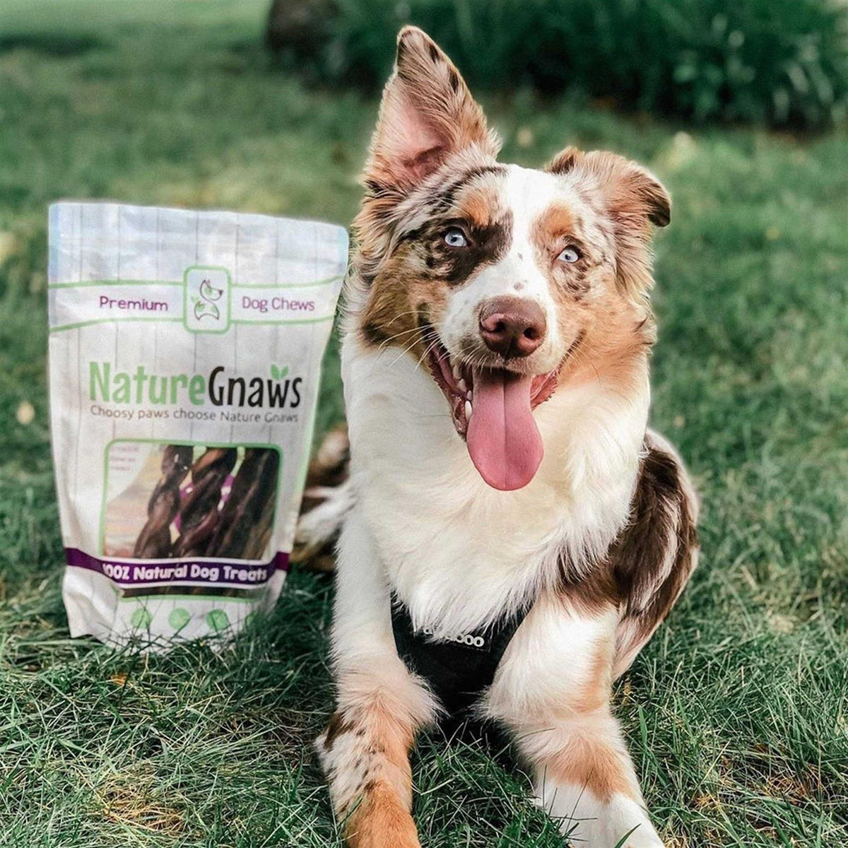 Braided Bully Sticks for Dogs Natural Beef Bones V276