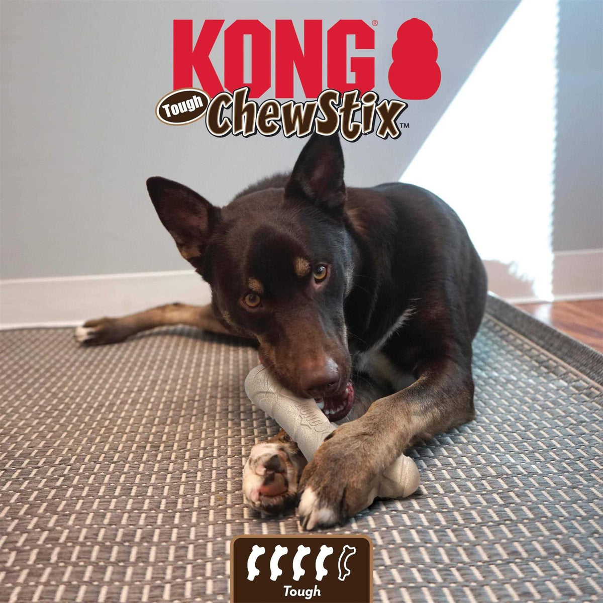Dog Chew Toy K20469