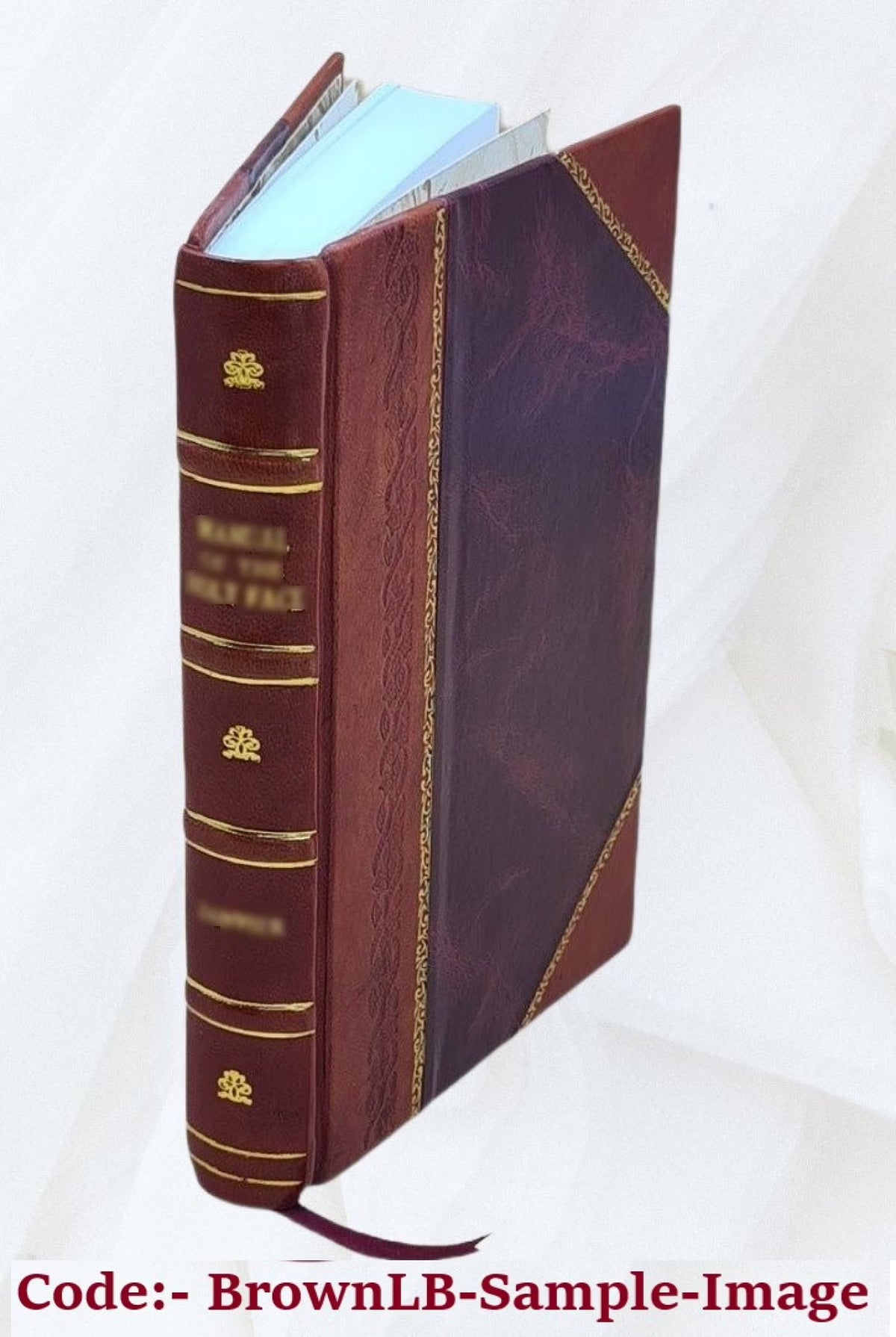 Valhalla Romance of Early Christianity in Norway Leather Bound A1444