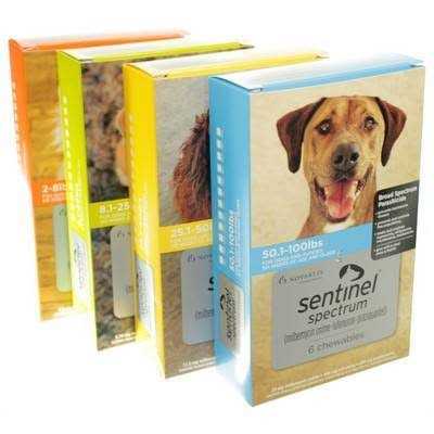 Spectrum for Dogs W300517