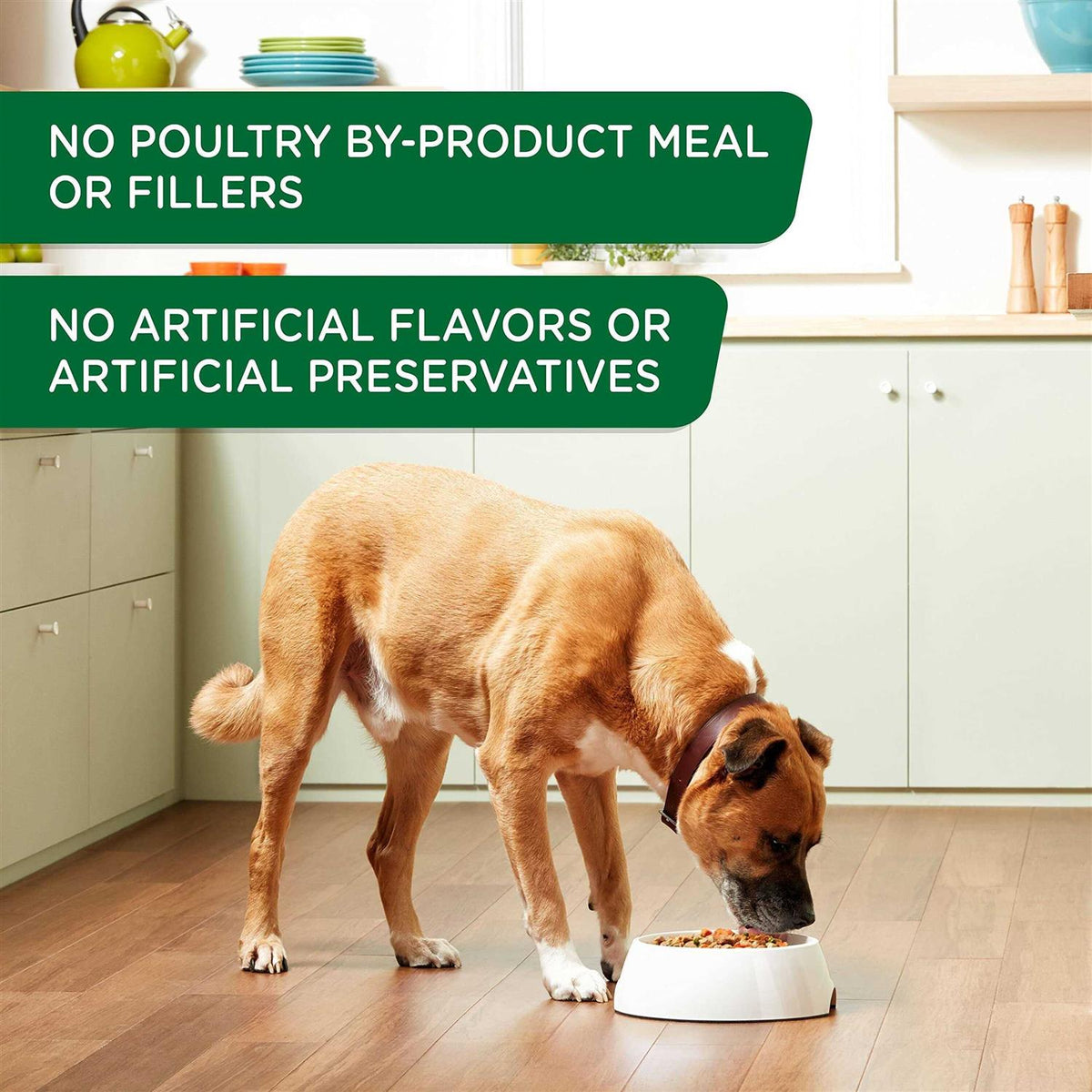 Wet Dog Food Chicken Apple O1457