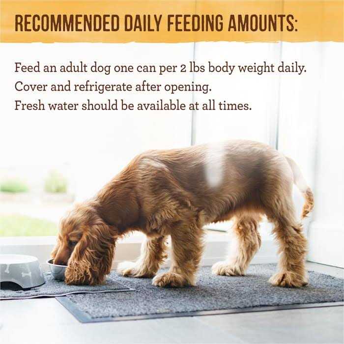 Grain Free Wet Dog Food J904