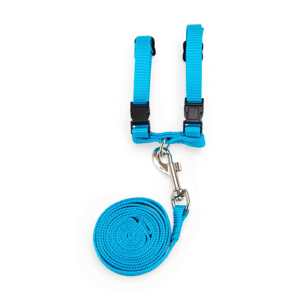 Ferret Harness & Lead G51114
