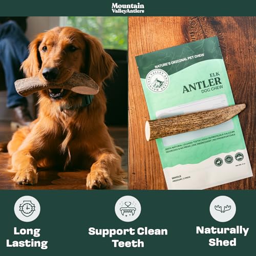 100% Natural Elk Antlers for Dogs - Whole Small (3 Pack) F275499