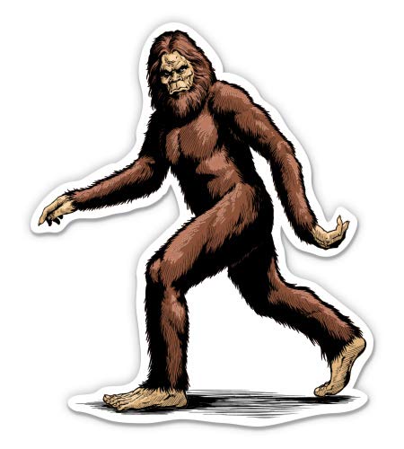 Vinyl Sticker Waterproof Decal T52125