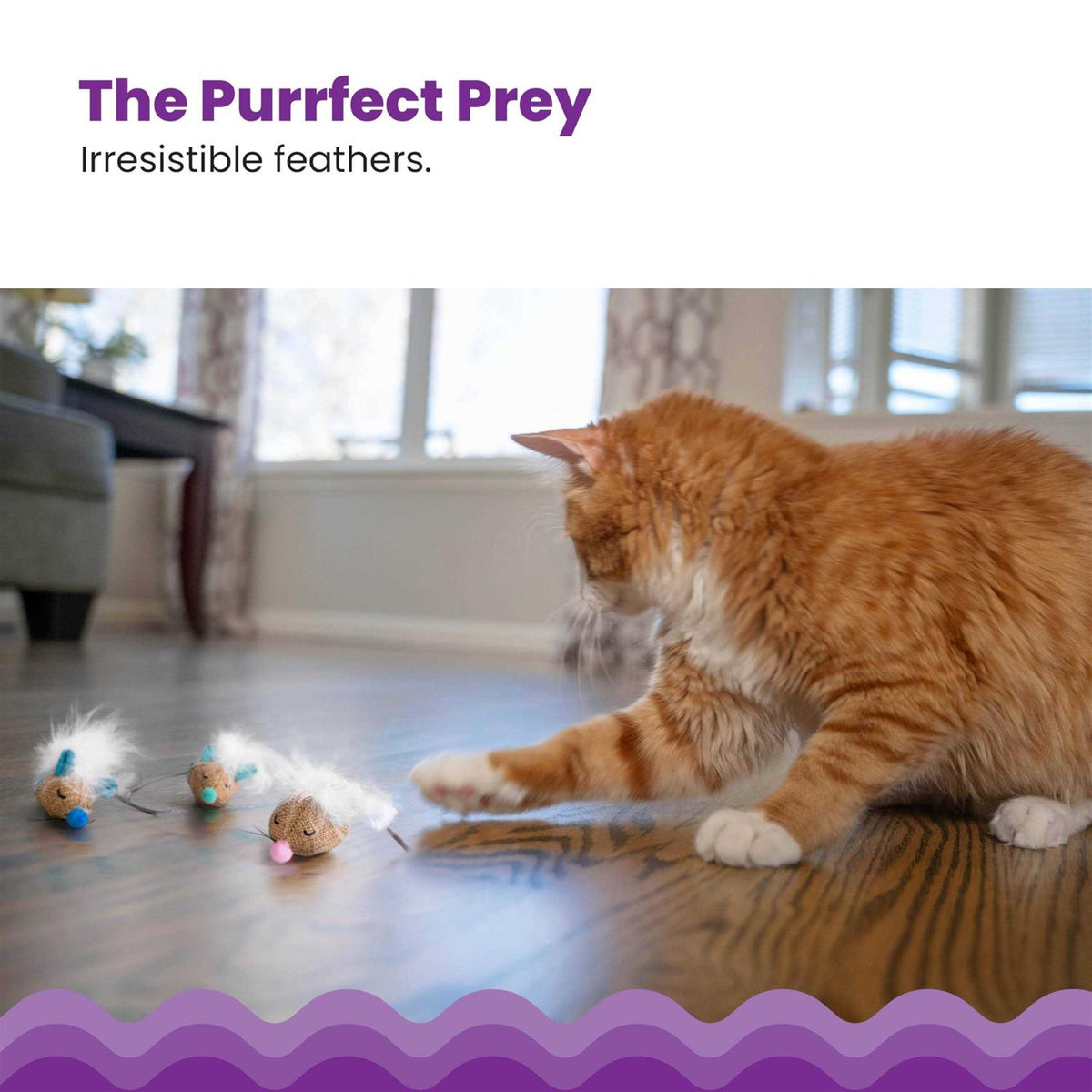 Cat Toy O998267