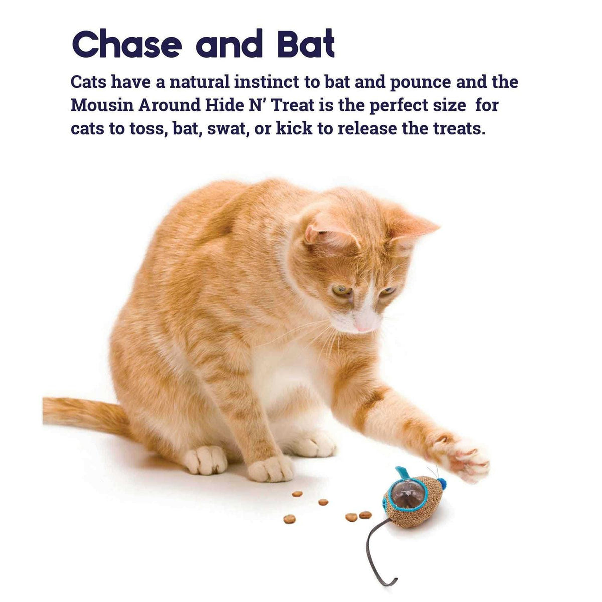 Cat Toy O998267