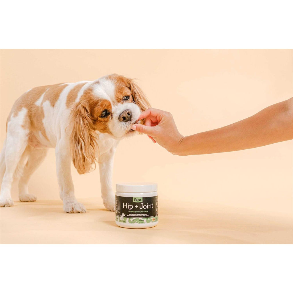 Hip & Joint Soft Chew Dog Supplement A587