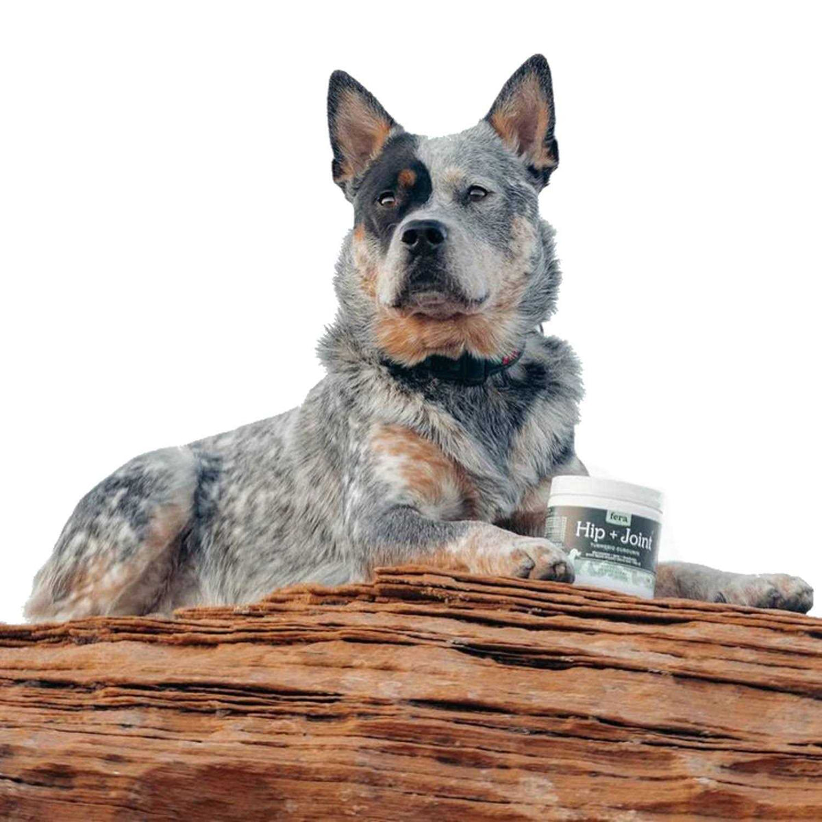 Hip & Joint Soft Chew Dog Supplement A587