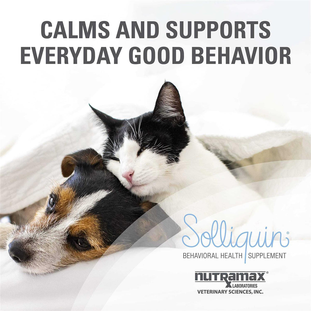 Calming Behavioral Health Supplement for Small to Medium Dogs and Cats O8041