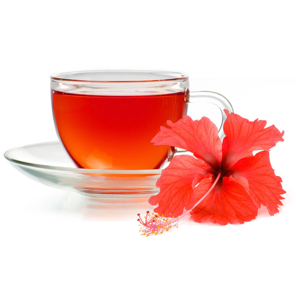 Hibiscus Tea 100 Bags H169