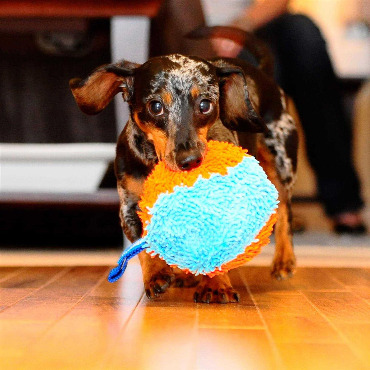 Indoor Dog Toy N634