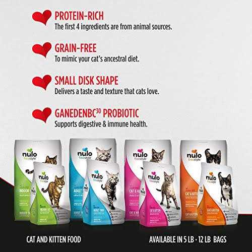 Grain-Free Turkey & Duck Recipe Dry Cat & Kitten Food I9298