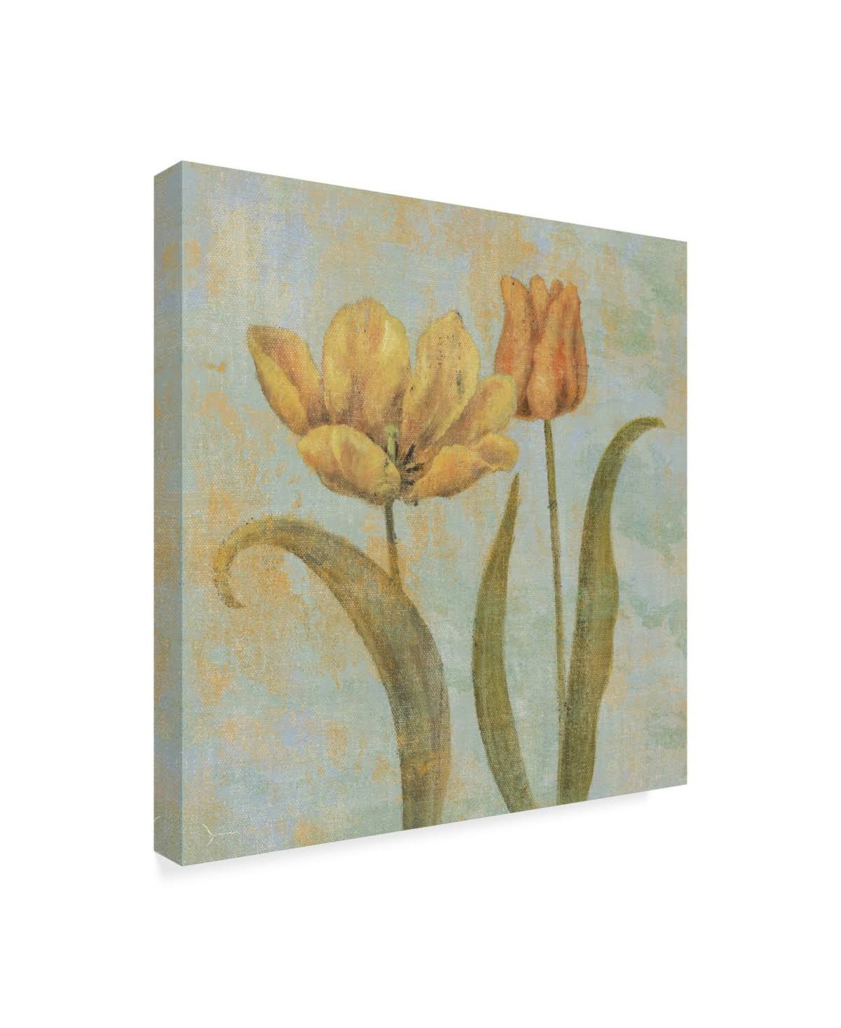 Canvas P66397