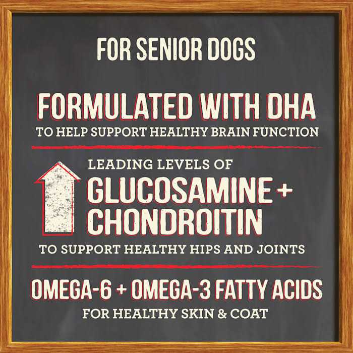 Senior Dry Dog Food V905999
