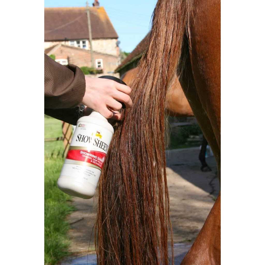 Hair Polish & Detangler R470