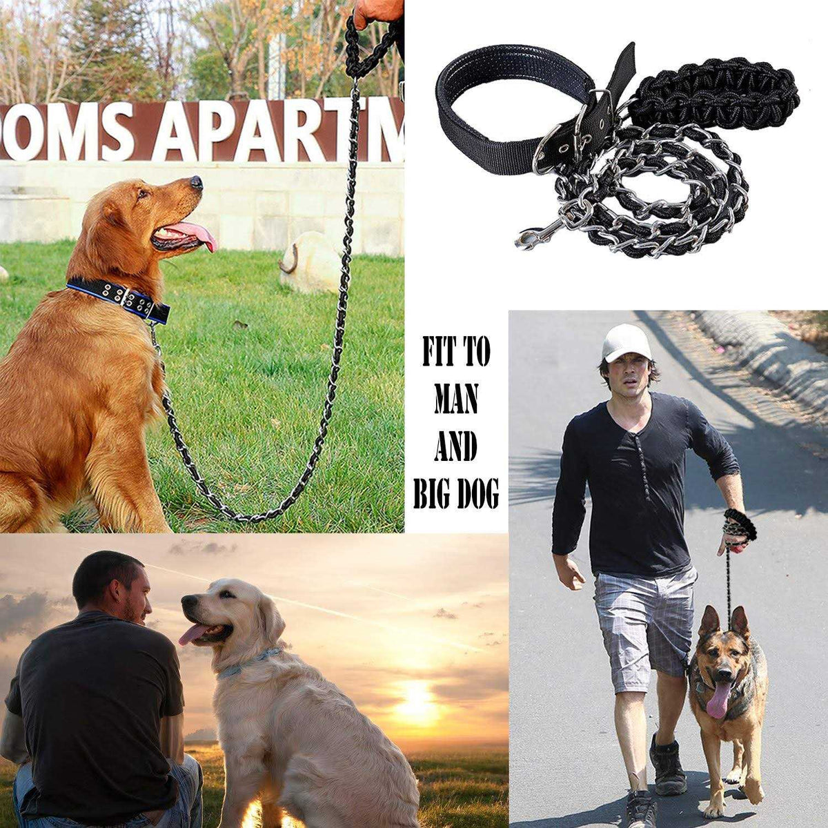 Heavy Duty Metal Dog Leash with Collar Q529696