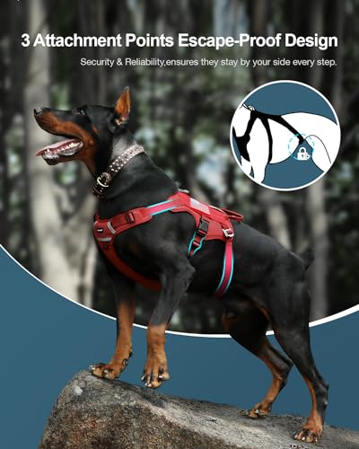 Tactical Dog Harness with Handle Mesh Breathable No Pull N688911
