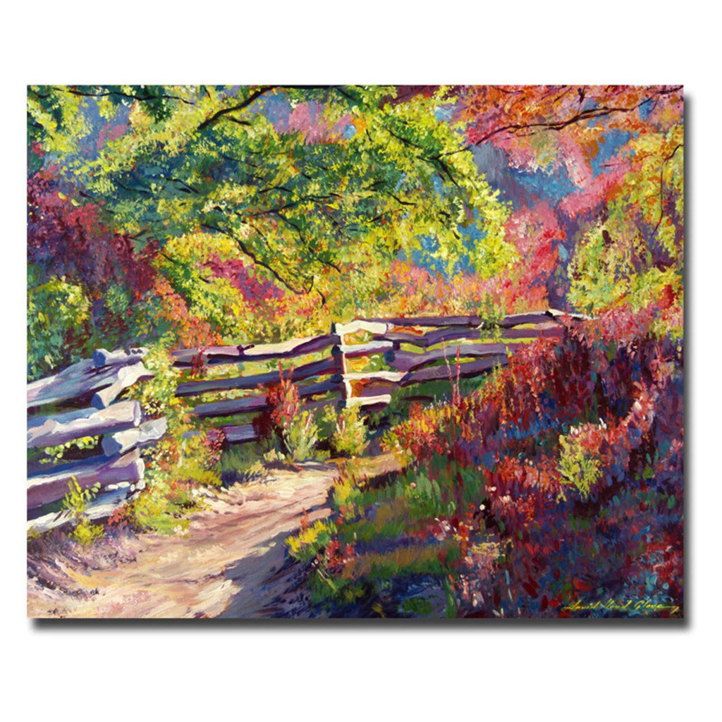Canvas Art B79325