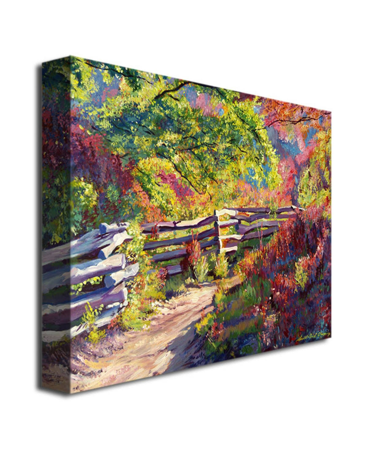 Canvas Art B79325