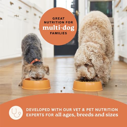 40 lbs Multi-Protein Dry Dog Food with Chicken, Turkey & Lamb Meals X8652