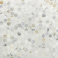 Calacatta Penny Rounds Polished Marble Tile E599