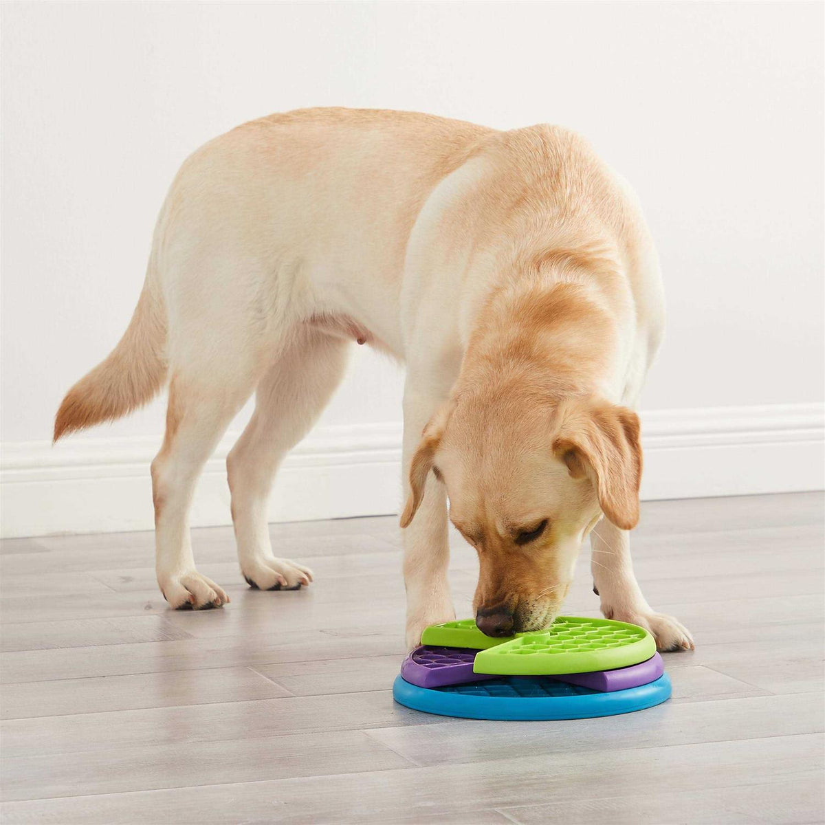 Dog Puzzle Game K5282