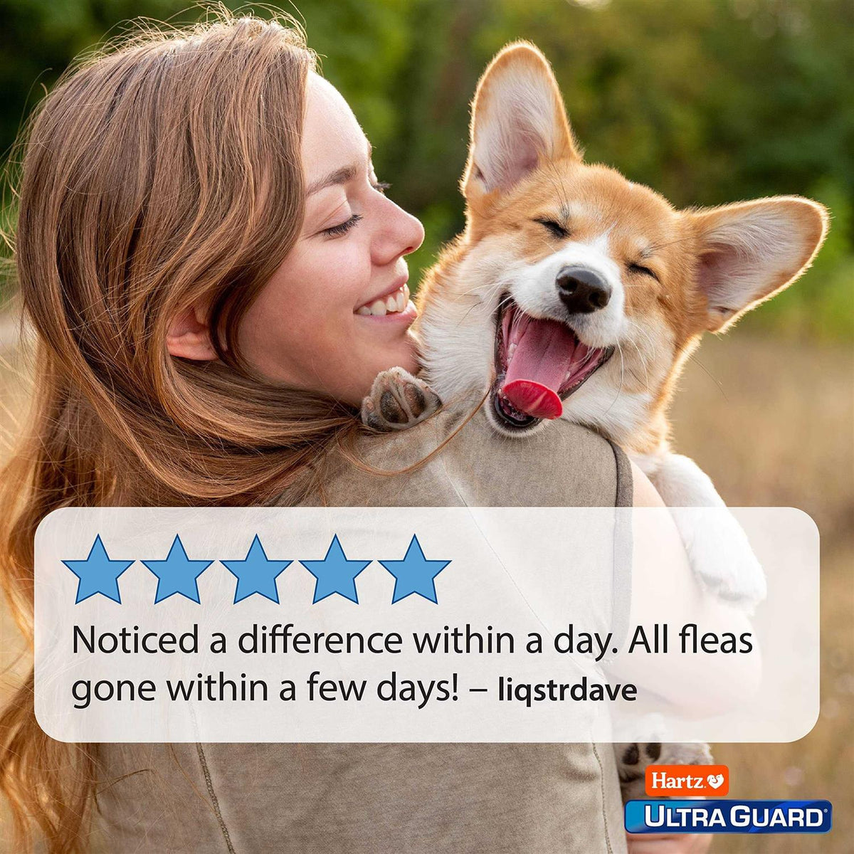 Flea & Tick Spray for Dogs Z976
