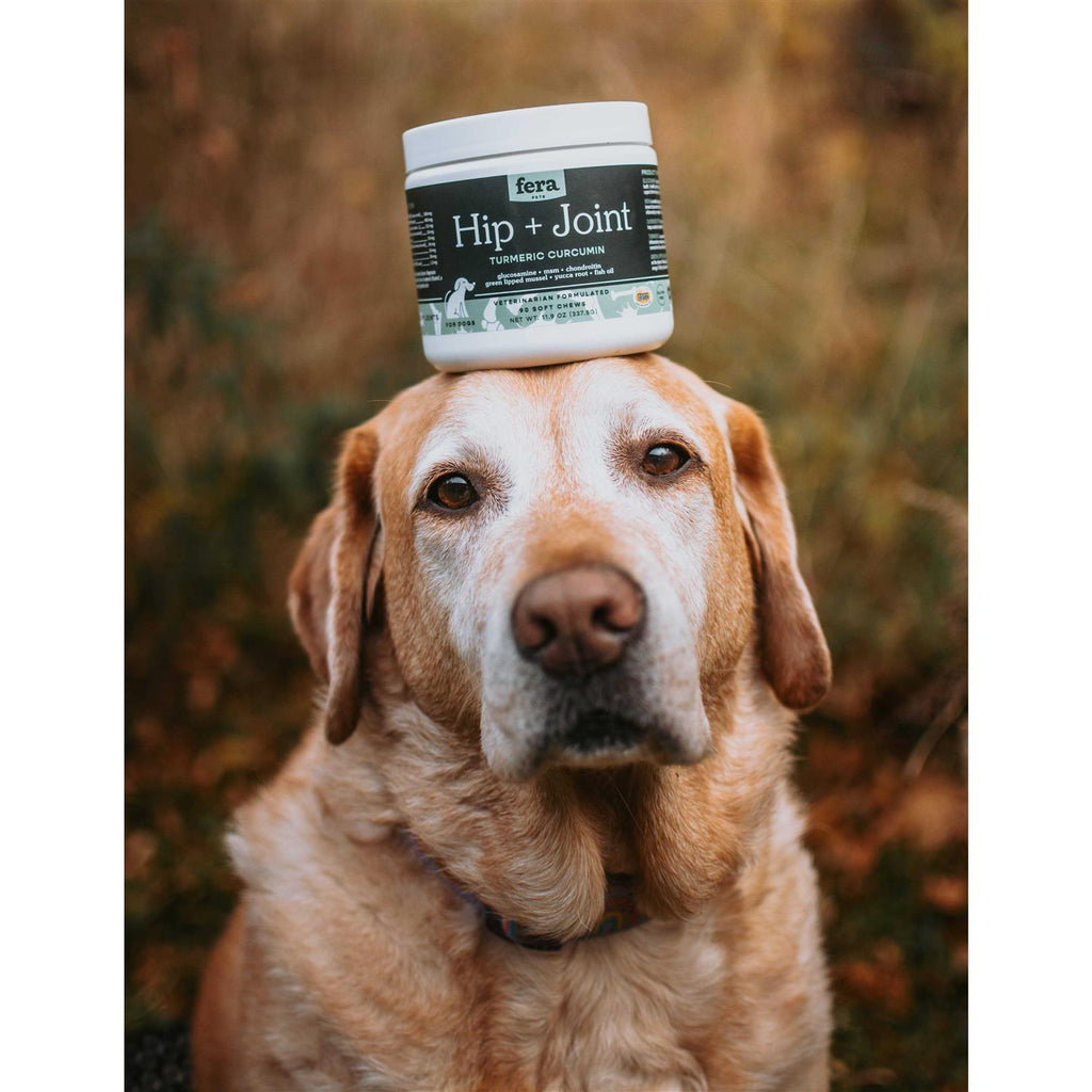 Hip & Joint Soft Chew Dog Supplement A587