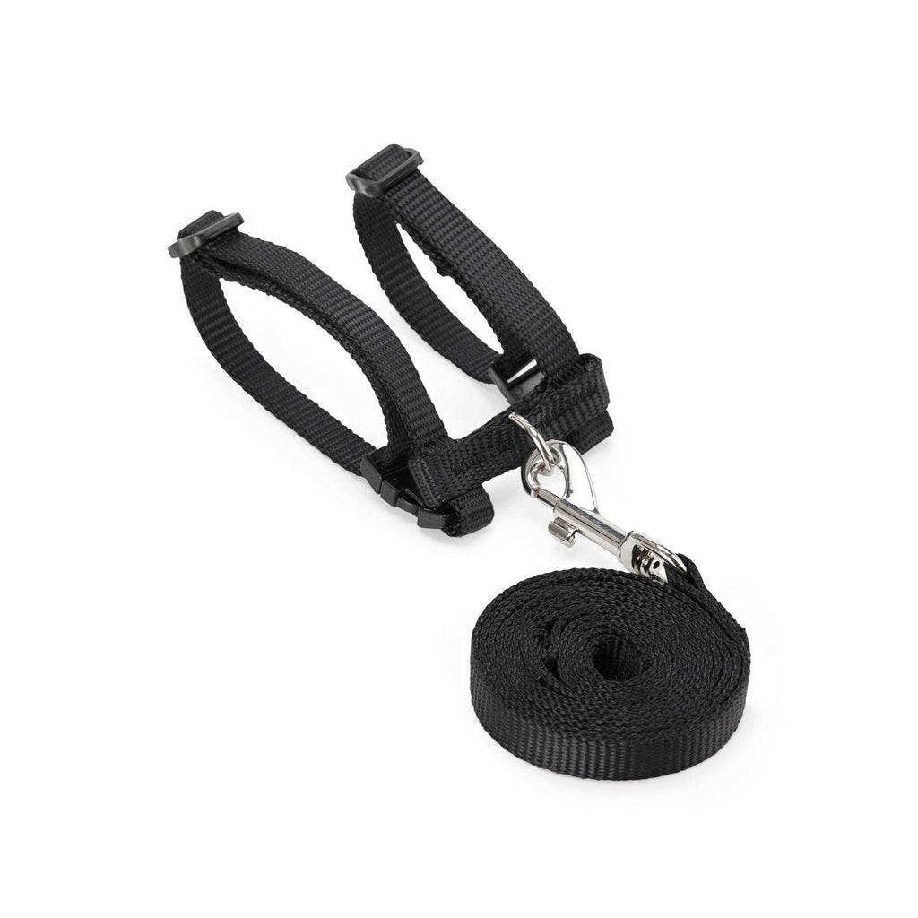 Ferret Harness & Lead G51114