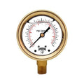 4x22 Brass Case Pressure Gauges T720041