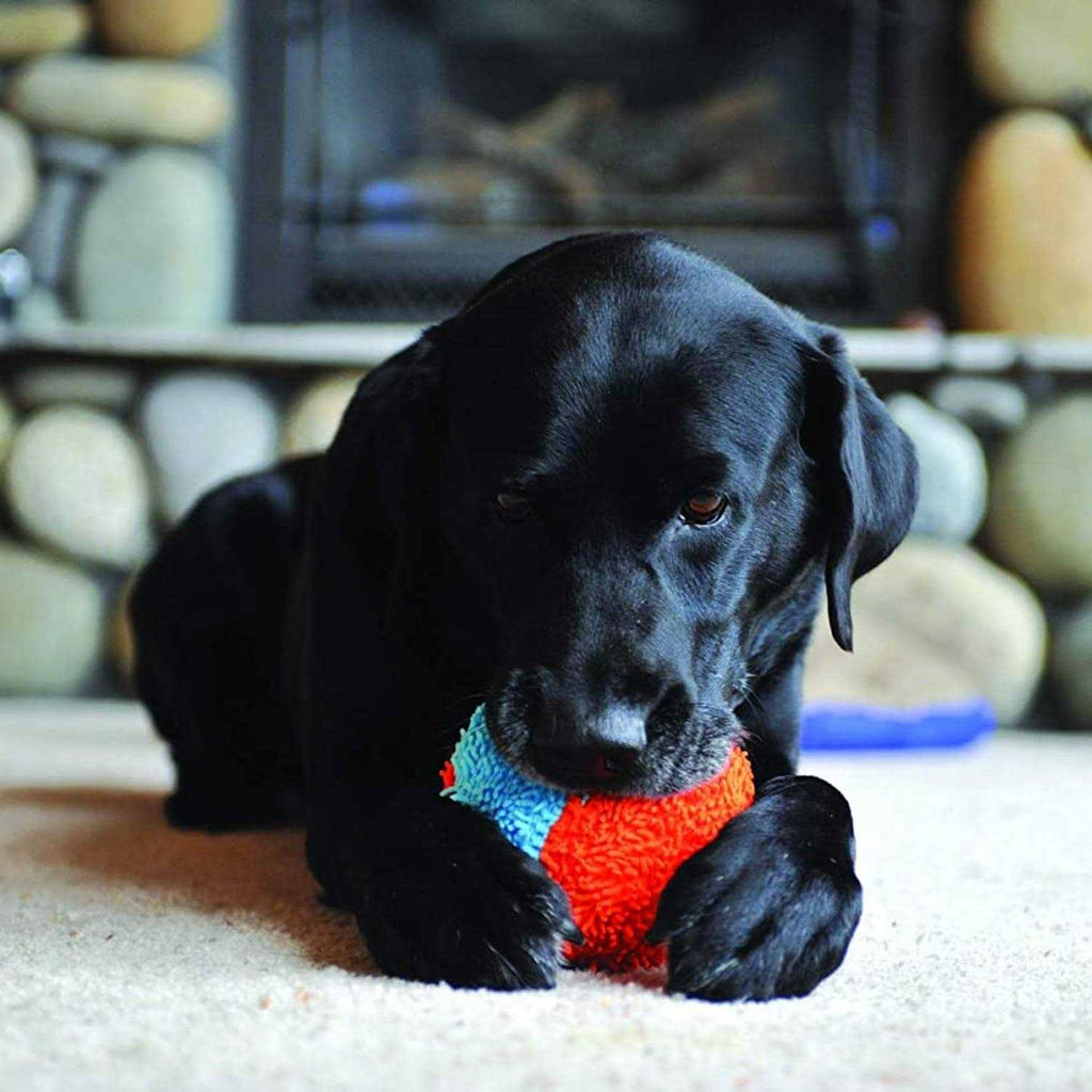 Indoor Dog Toy N634