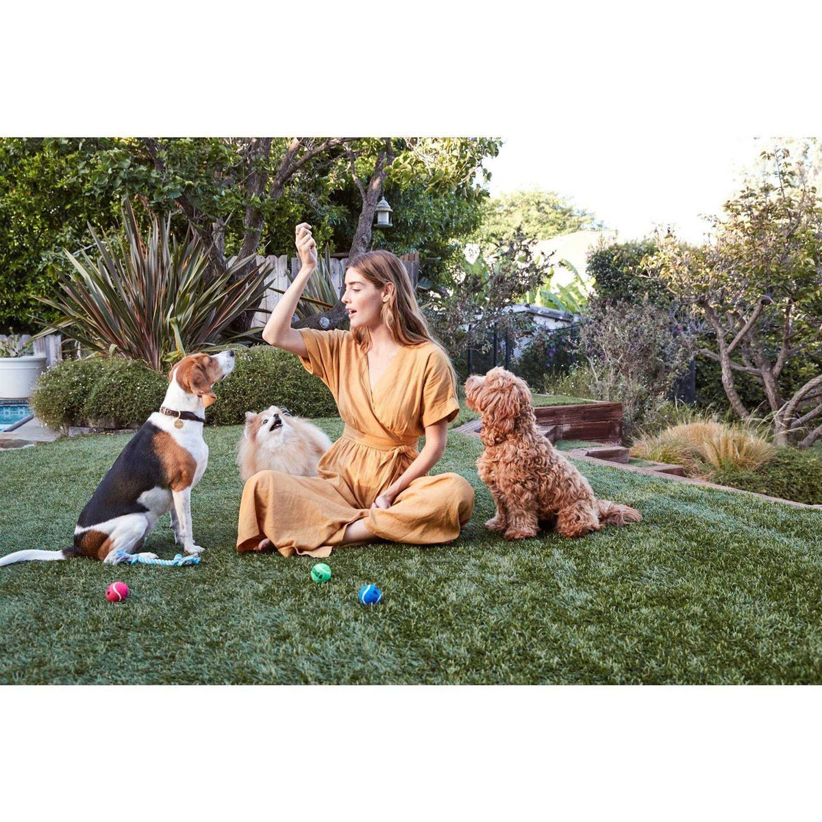 All Natural Chicken Jerky Dog Treats U162