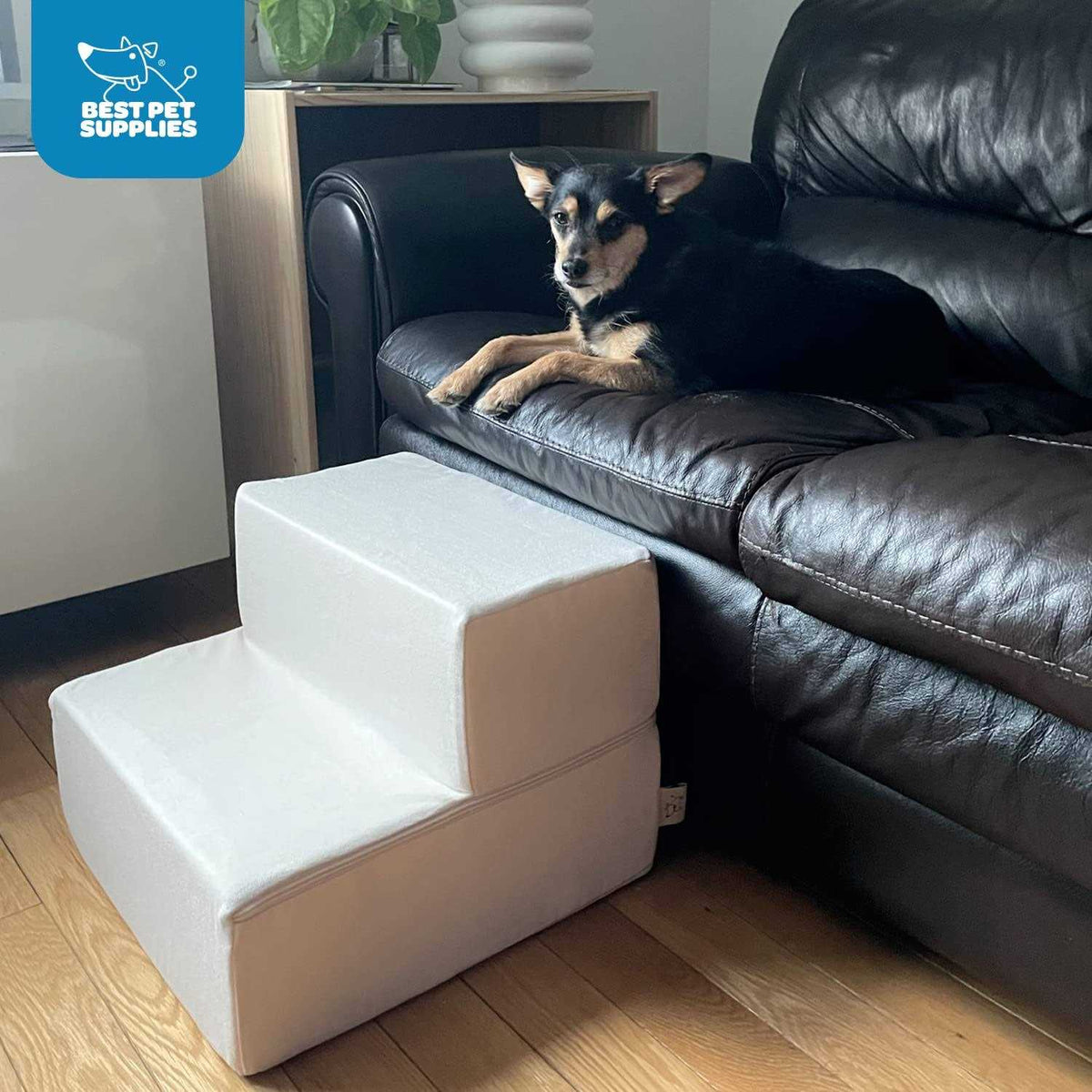 Foldable Pet Steps/Stairs with CertiPUR-US Certified Foam M585939