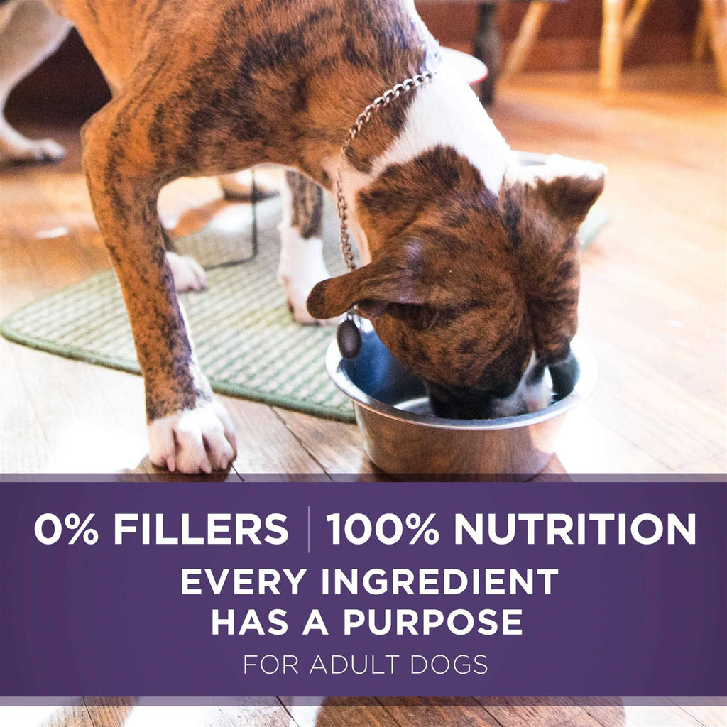 Chicken & Brown Rice Ground Wet Dog Food U29899