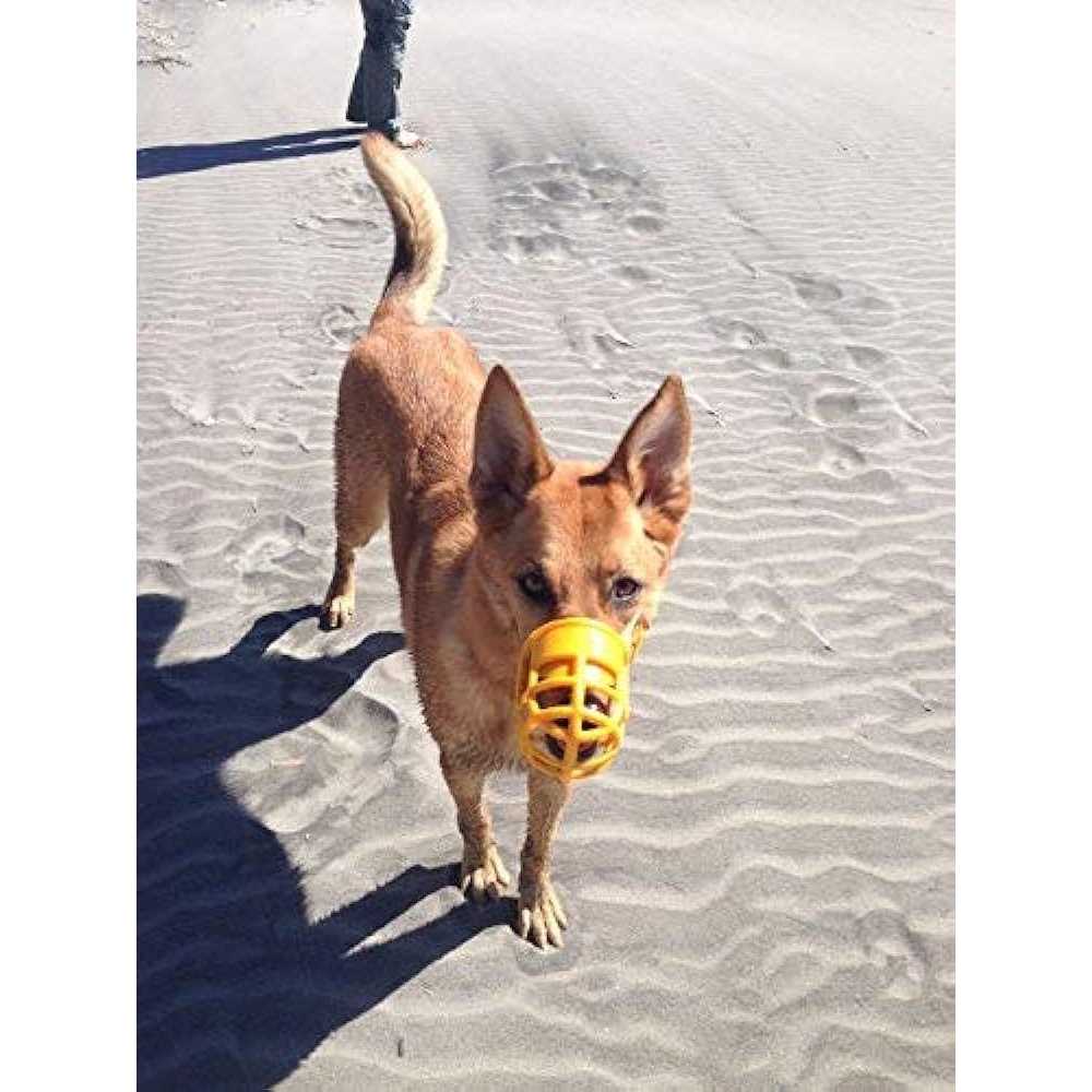 Plastic Dog Muzzle with Adjustable Headstall R582669