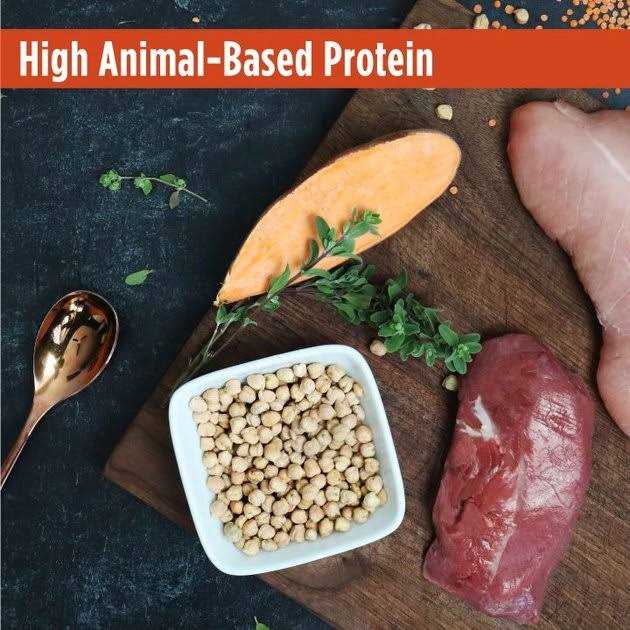 Grain-Free Turkey & Duck Recipe Dry Cat & Kitten Food I9298