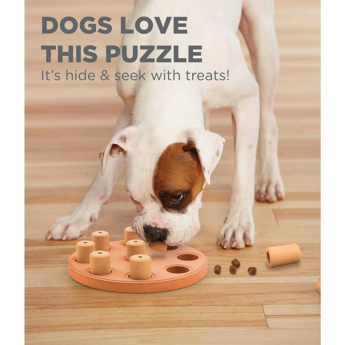 Dog Puzzle V590110