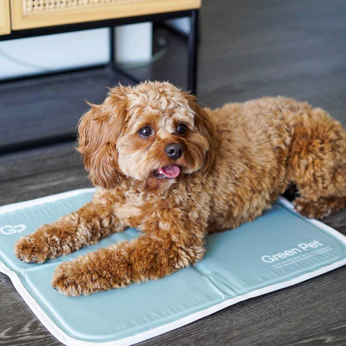 Sage Gray Self Cooling Pet Pad S963