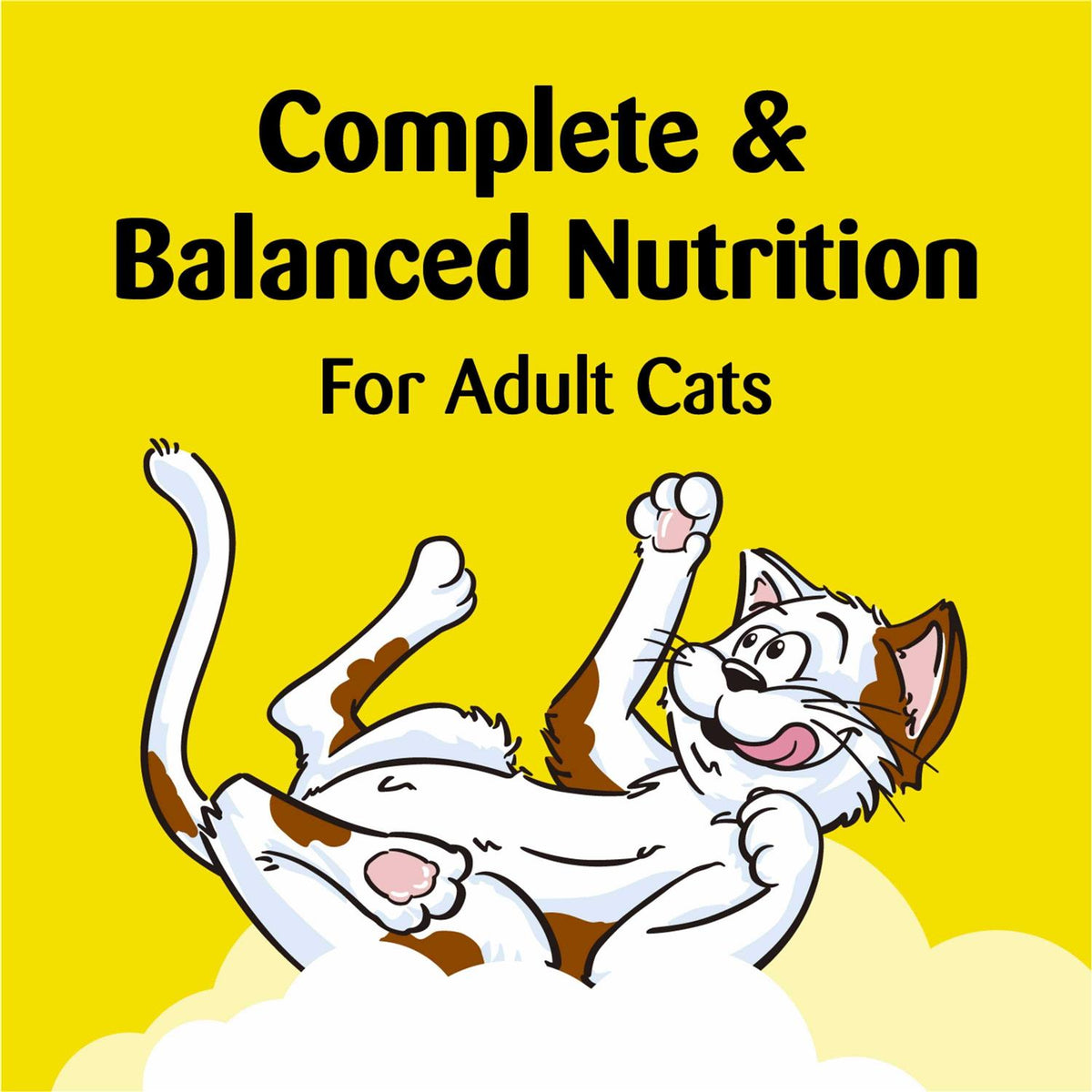 Crunchy and Soft Cat Treats O10519