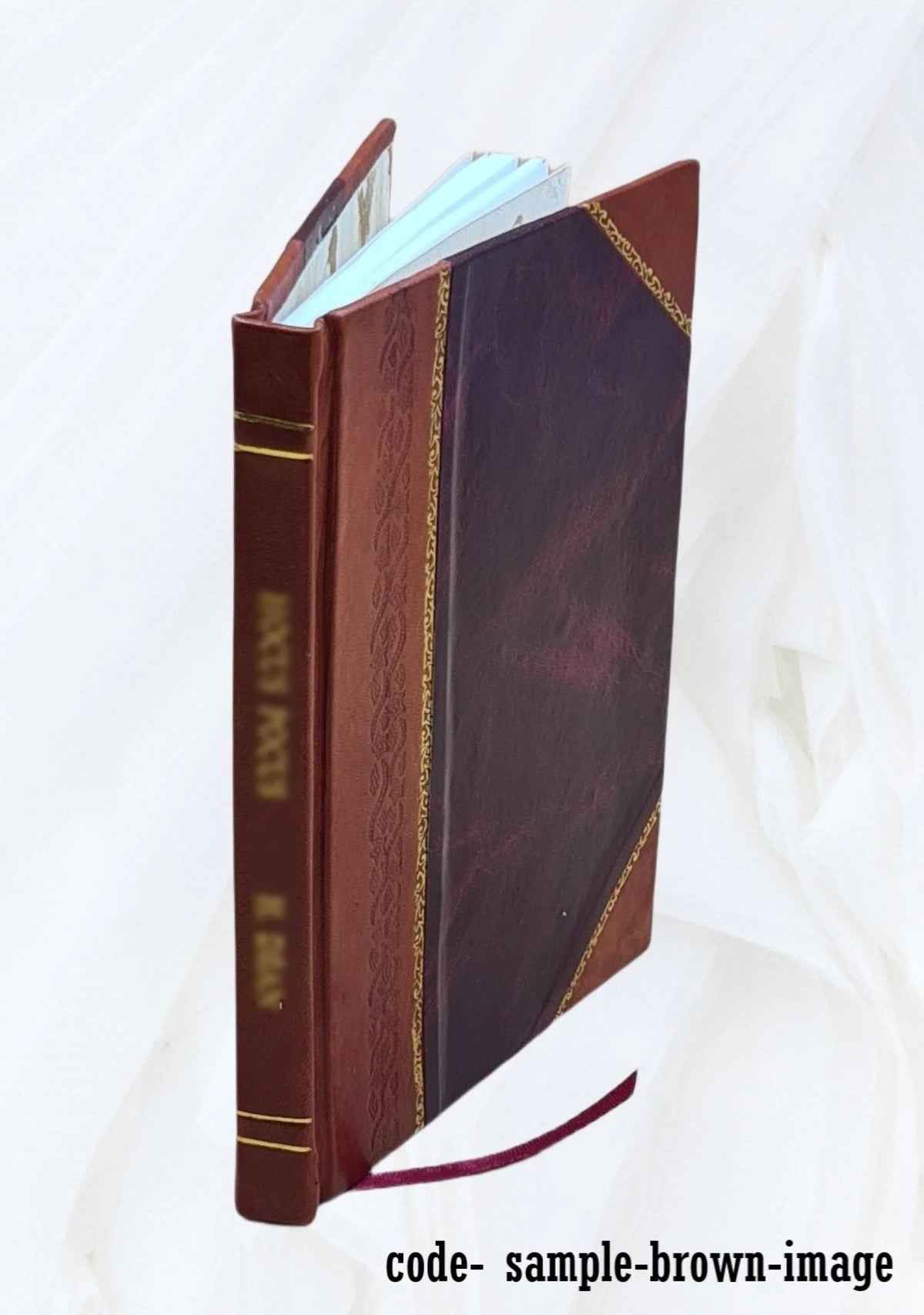Fetal Electrocardiography and Electroencephalography Leather Bound E9049