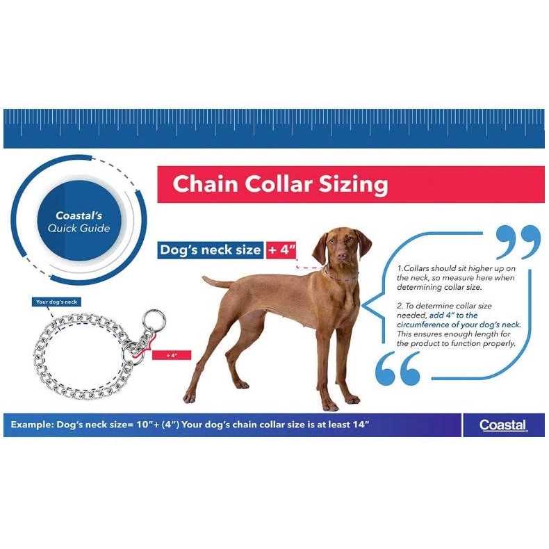 Steel Chain Dog Collar C939978